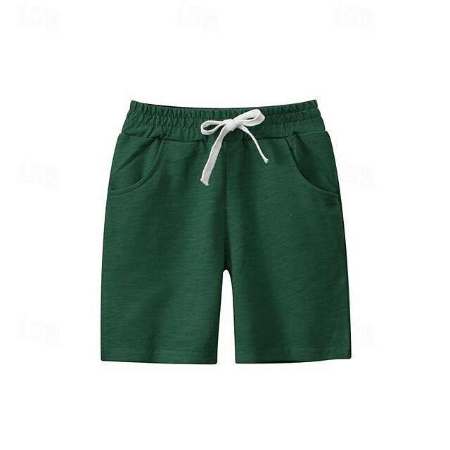  Pojkar 3D Ensfärgat Shorts Sommar Aktiv Grundläggande Barn 4 år + Utomhus Sport Ledigt Normal