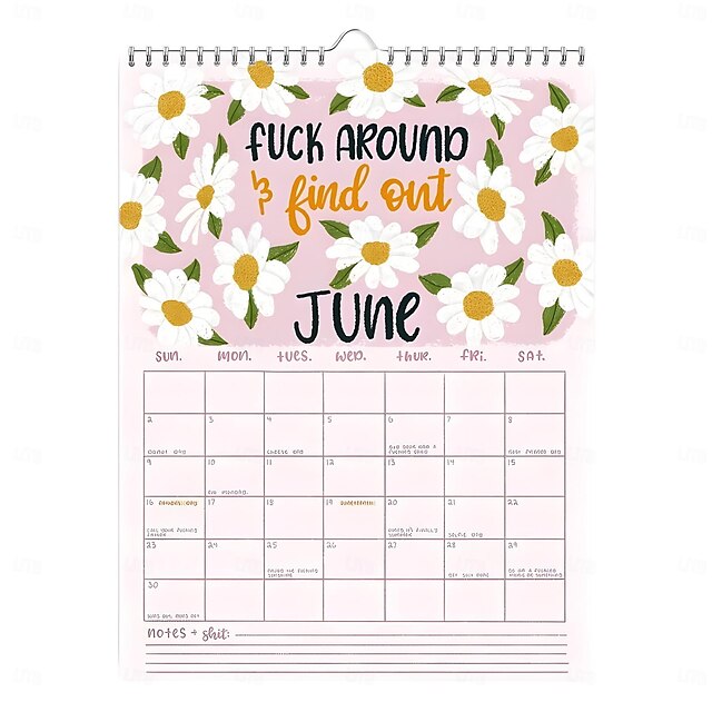 HERE WE FUCKING GO AGAIN 2025 CALENDAR,12Month Snarky & Sassy Planner