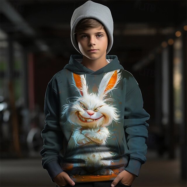 Boys 3D Graphic Animal Rabbit Hoodie Long Sleeve Spring Fall Fashion Streetwear Kids 4-12 Years Hooded Outdoor Casual Daily Regular Fit2