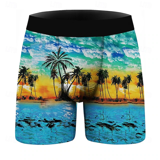 Coconut Tree Boxer Briefs Underwear Graphic Prints For Men's Adults 