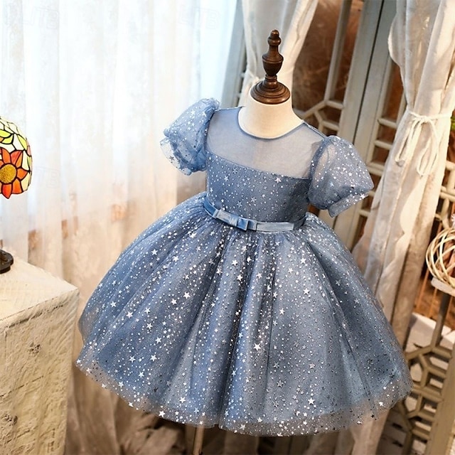  Batole Dívčí Šaty na párty Flitry Bez rukávů Výkon Síťka Roztomilý Princeznovské Polyester Nad kolena Plášťové šaty Tylové šaty Léto Jaro Podzim 3-7 let Stříbrná Dusty modrá
