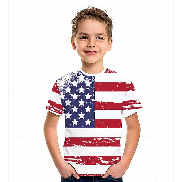 Boys 3D Graphic Flag T shirt Short Sleeve 3D Print Summer Active Polyester Kids 4-12 Years Daily Wear Regular Fit2