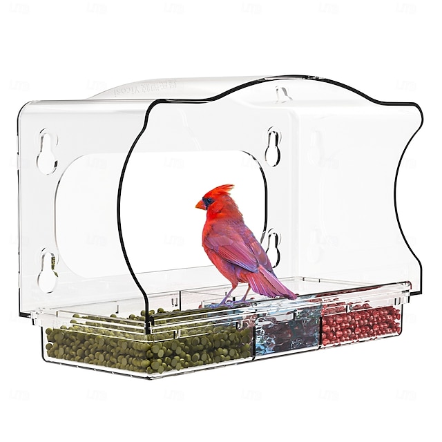  mangeoire à oiseaux en acrylique transparent - fixation murale, design à ventouse (transparent) - facile à nettoyer &résistant aux intempéries - idéal pour les personnes âgées & enfants