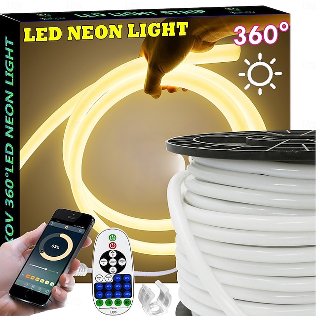  Bande lumineuse LED néon 360° avec application Bluetooth, synchronisation de la musique, 3 à 40 mètres, flexible, étanche, avec télécommande 23 touches, idéale pour la décoration de la maison, du