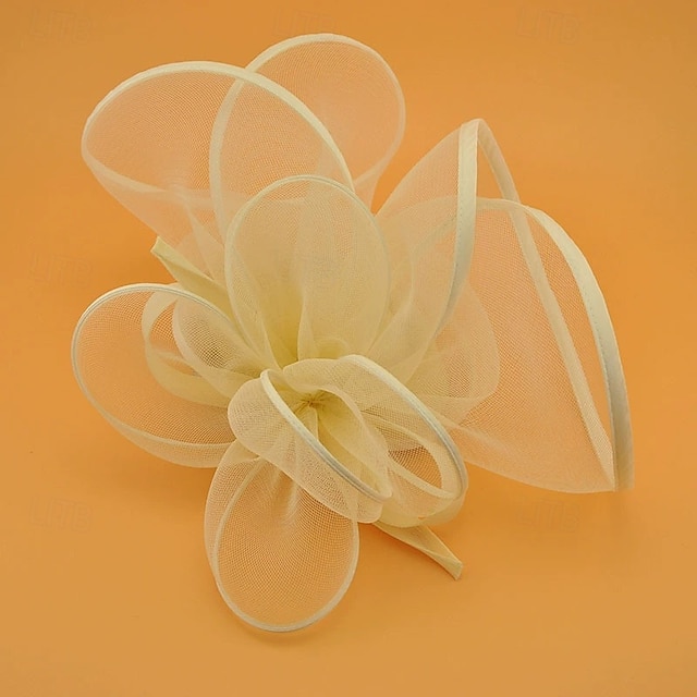 Helm Tule Bruiloft Avond Feest Elegant Bruiloft Met Tule Helm Hoofddeksels
