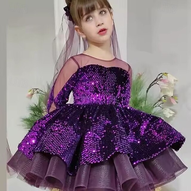  Infantil Para Meninas Vestido Vestido de festa Côr Sólida Manga Longa Espetáculo Paetês Com Transparência Princesa Doce Com Transparência Acima do Joelho Vestido da bainha Vestido De Tule Verão