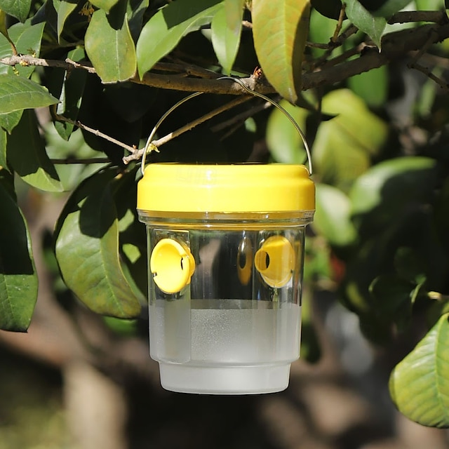  trappole per api in plastica, bottiglia esca per insetti, acchiappa vespe per interni ed esterni per piante da cucina di casa, alberi, insetti volanti, controllo dei parassiti