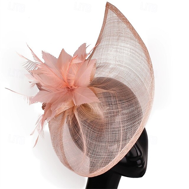 Helm Namaaklinnen Veren Bruiloft Avond Feest Elegant Bruiloft Met Veer Helm Hoofddeksels