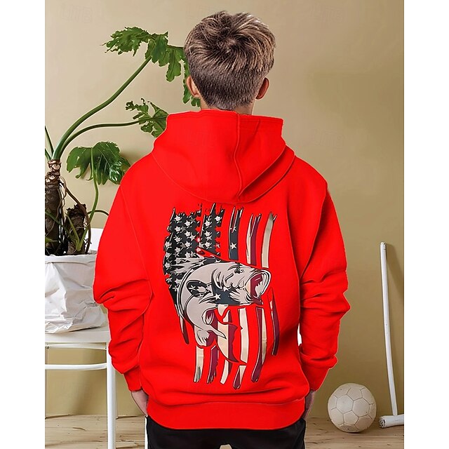 Boys' 3D Flag Hoodie Long Sleeve Spring Fall Fashion Streetwear Kids 4-12 Years Hooded Outdoor Casual Daily Regular Fit3
