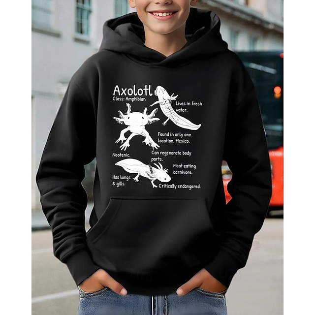  Pojkar 3D Grafisk Huvtröja Långärmad Vår Höst Mode Streetwear Barn 4-12 år Huva Utomhus Ledigt Dagligen Normal
