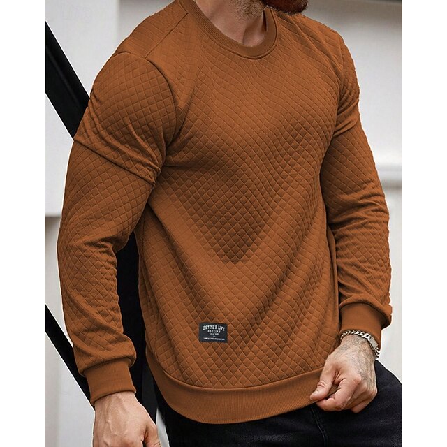  Pánské Mikina Černá Khaki Tmavě šedá Kávová Tričkový Bez vzoru Žakár Rýhovaný S texturou Pletená textura Sporty a outdoor Denní Dovolená Polyester Šik ven Základní Na běžné nošení Jaro Podzim Oblečení