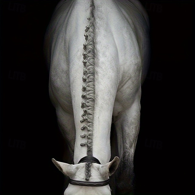  500 tendini per cavalli in silicone extra spessi e ad alta elasticità - criniera resistente &Fasce per la coda dei cavalli, accessori per legare i peli di cavallo bianchi e neri, fasce per fissare la