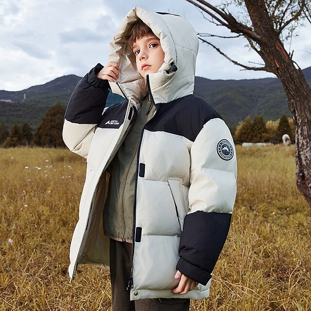 Kids Unisex Down Jacket Outdoor Jacket Puffer Jacket Outerwear Color Block Long Sleeve Waterproof Keep Warm Windproof Coat Outdoor Daily Basic Beige Fall Winter 4 years+4