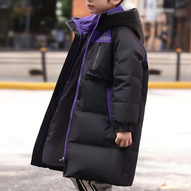 Kids Unisex Down Jacket Outdoor Jacket Puffer Jacket Outerwear Solid Color Long Sleeve Keep Warm Windproof Coat Outdoor Daily Basic Black Beige Fall Winter 4 years+4
