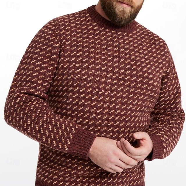  Herre Grafisk Fair Isle-sweater Pullover trøje Strikketøj Rund Hals Afslappet Ferierejse Daglig 3D-udskrivning Hold Varm Langærmet Forår Efterår Vinter Blå Brun