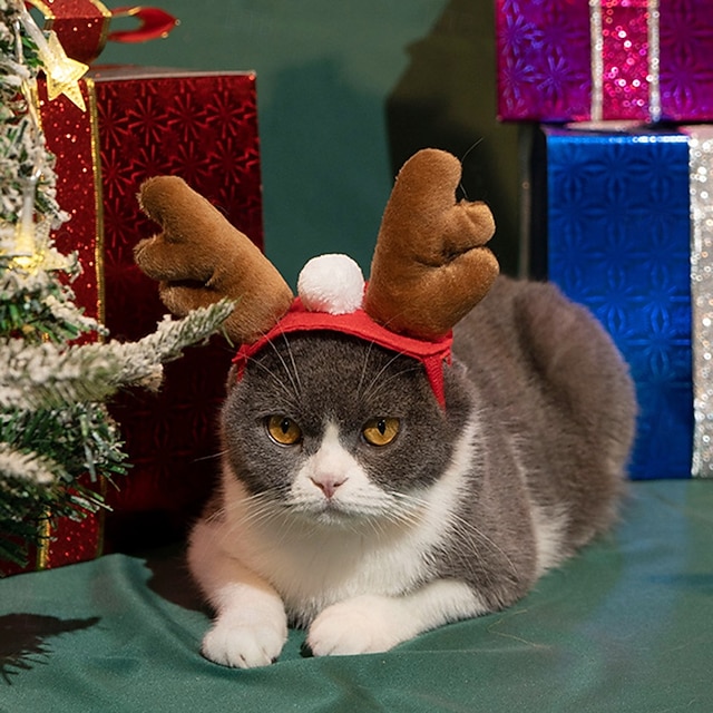  Jultomtehatt och halsduk för husdjur - justerbar julkostym för hundar, katter, valpar, kattungar - festlig röd &vit outfit