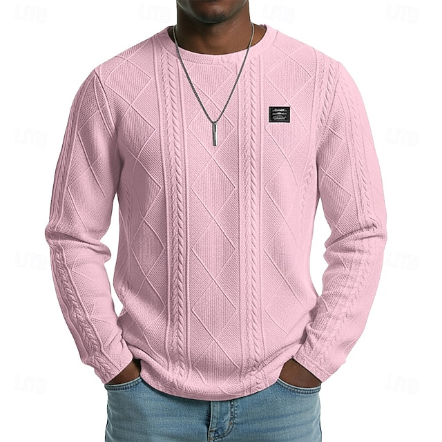  Муж. Футболка Рубашка с длинным рукавом Длинный рукав Вырез под горло Весна Осень Зима Геометрический принт Полотняное плетение Пит Стрип Мода Оригинальный рисунок Классический Жаккард Вязанная