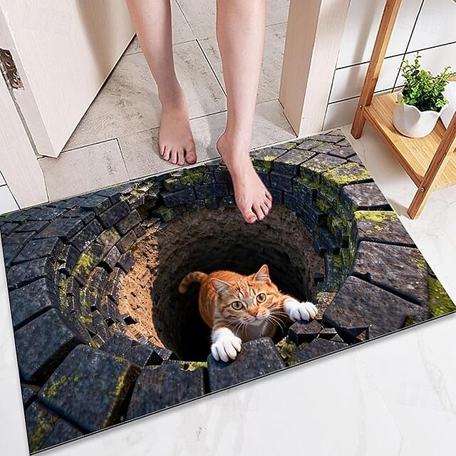 Front Door Visual Mat, 3D Optical Illusion All Weather Diatomaceous Mud ...