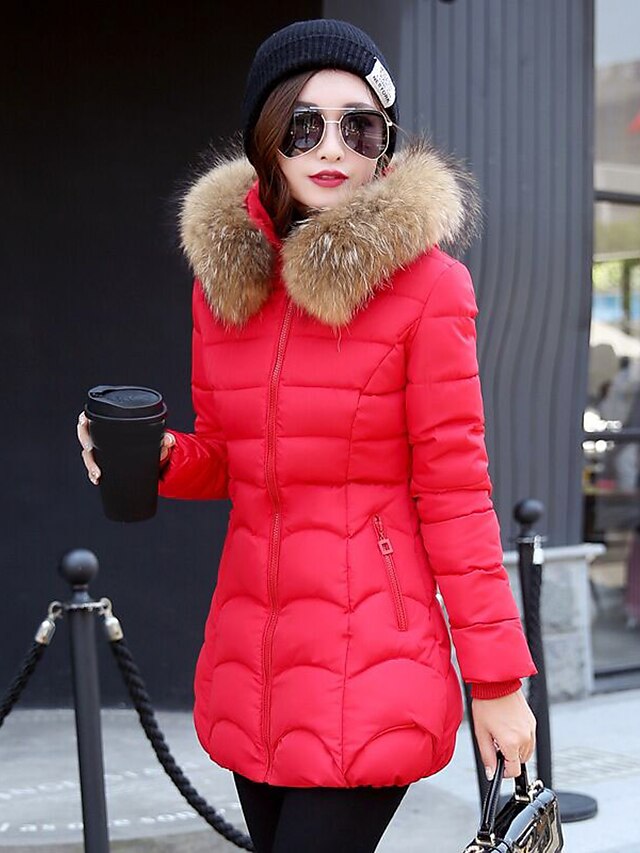  Mulheres Moda de Rua Longo Acolchoado Sólido Com Capuz / Inverno