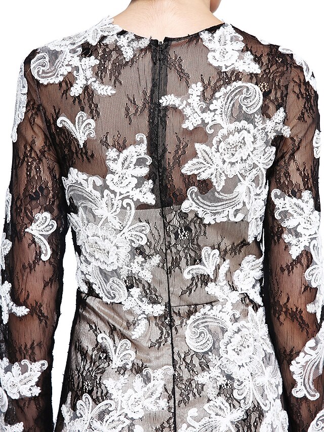 Lace See Through Dress & Lining Sets