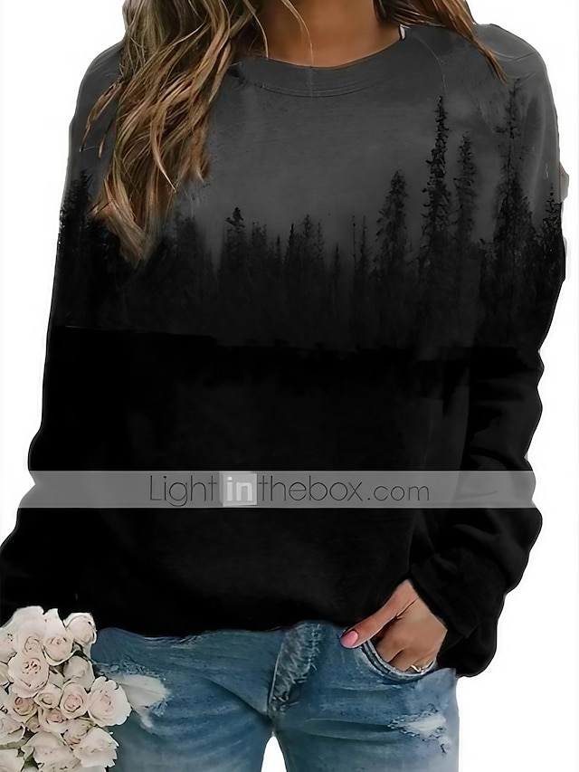  Women's Hoodie Sweatshirt Pullover Color Block Daily Blue Green Gray Casual Loose Fit Round Neck Long Sleeve Fall & Winter