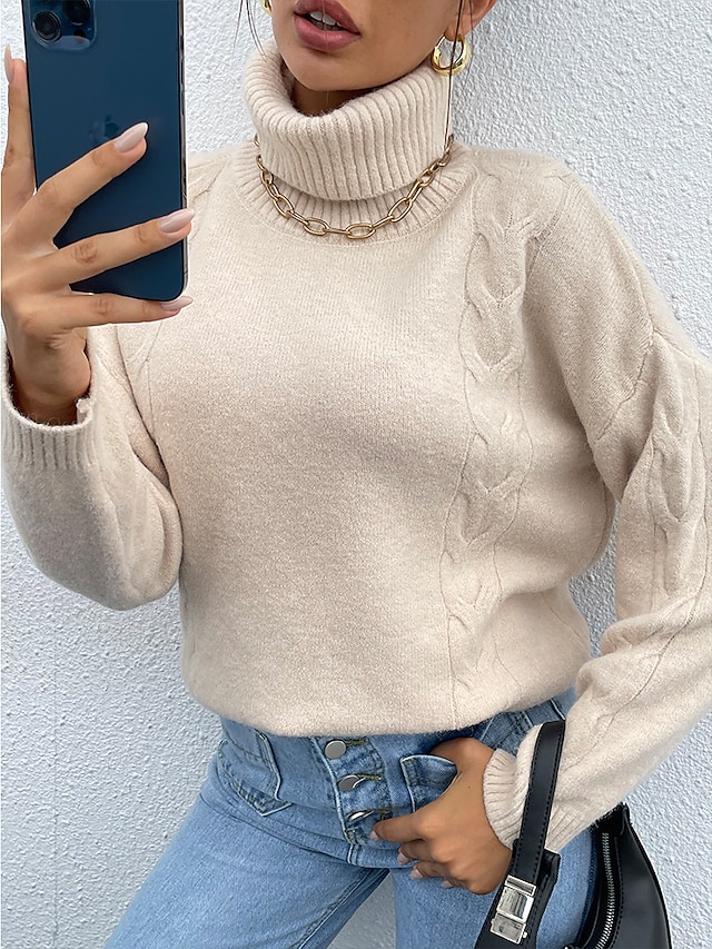 Womens Clothing Sweaters & Cardigans | Womens Pullover Sweater Jumper Knit Classic Style Solid Color High Neck Classical Casual 