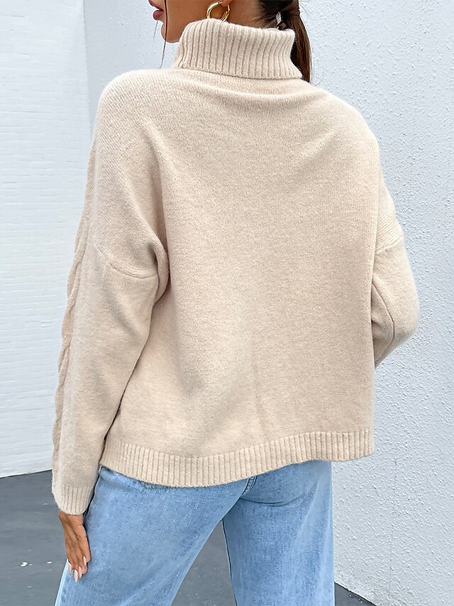 Womens Clothing Sweaters & Cardigans | Womens Pullover Sweater Jumper Knit Classic Style Solid Color High Neck Classical Casual 