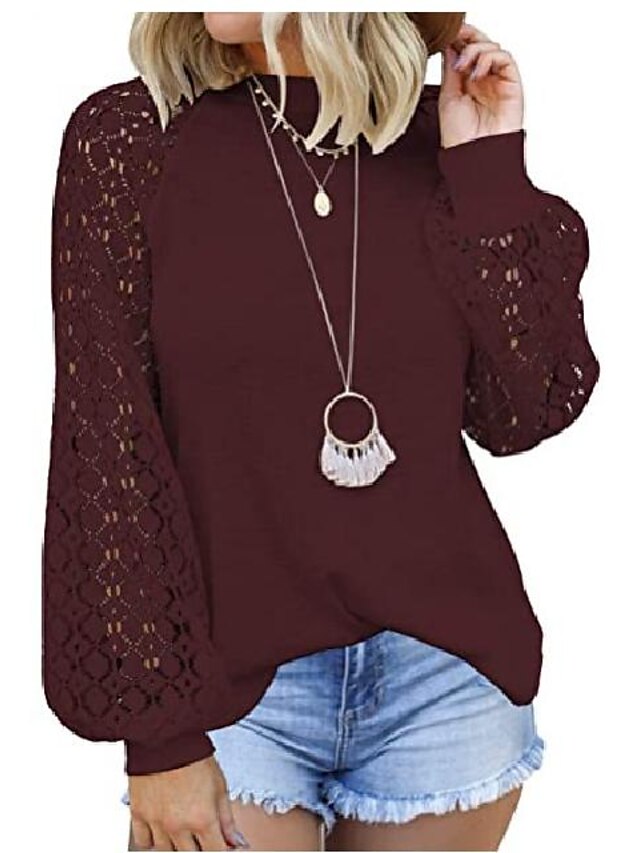 Womens Clothing Sweaters & Cardigans | Womens Pullover Sweater Jumper Knit Hollow Out Solid Color Round Neck Elegant Casual Work