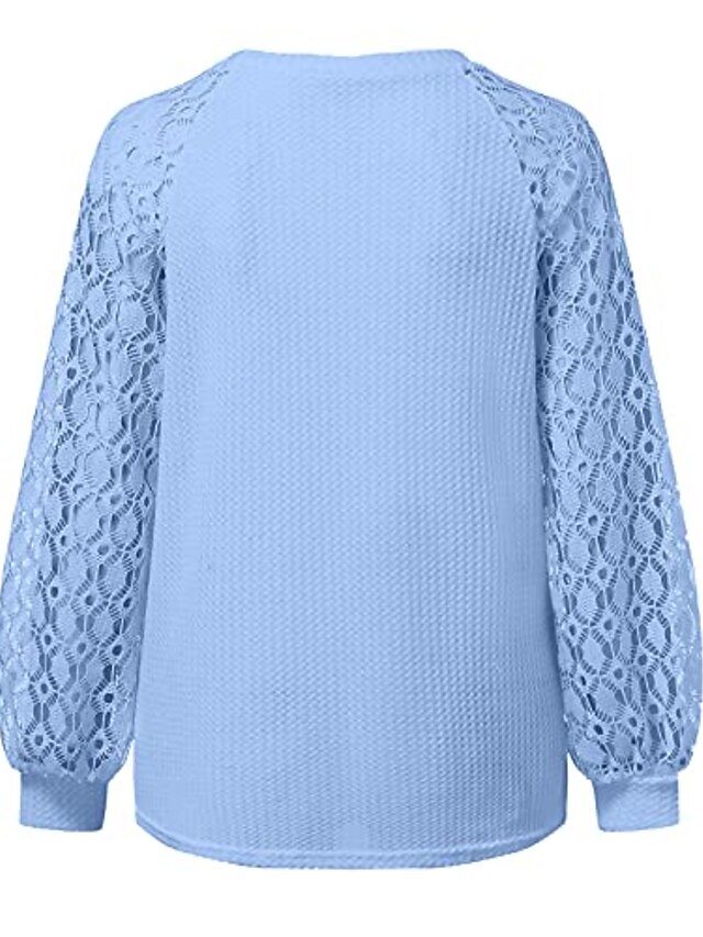 Womens Clothing Sweaters & Cardigans | Womens Pullover Sweater Jumper Knit Hollow Out Solid Color Round Neck Elegant Casual Work