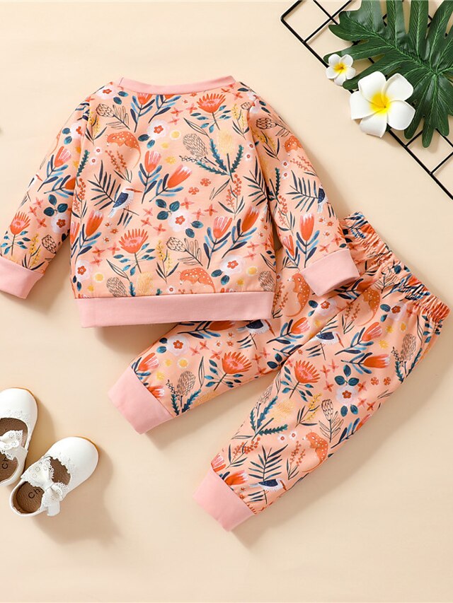 Baby & Kids Girls Clothing | Kids Girls T-shirt & Pants Clothing Set 2 Pieces Long Sleeve Green Light Green Orange Floral Print 