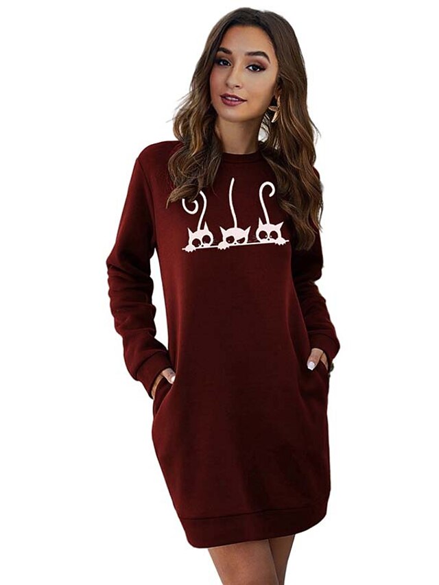 Sweatshirt Pullover Hoodie Dress 