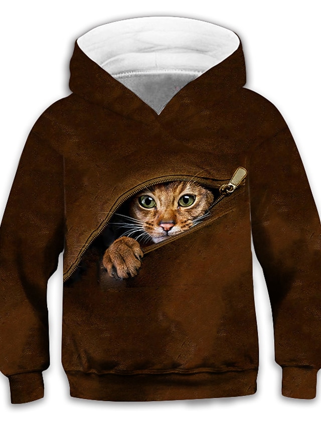  Kids Boys' Hoodie Long Sleeve Brown 3D Print Cat Animal Pocket Daily Indoor Outdoor Active Fashion Daily Sports 3-12 Years