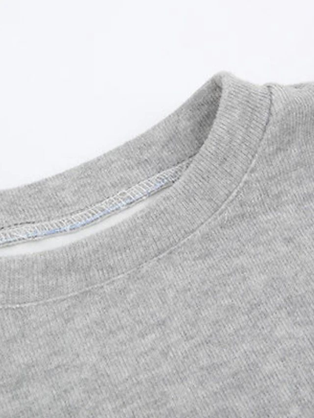 Kids Girls' Sweatshirt & Pants 2 Pieces Clothing Set Long Sleeve Gray ...
