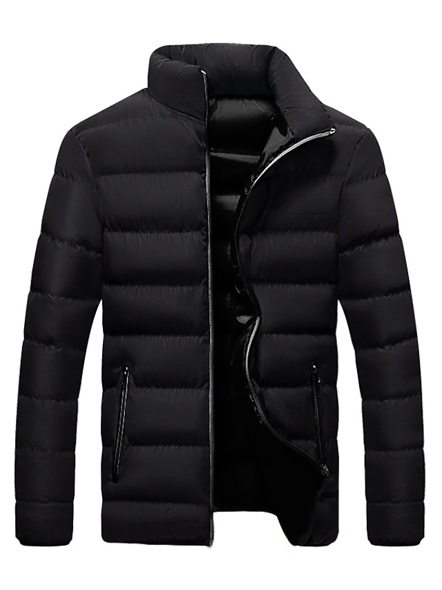Men's Winter Jacket Puffer Jacket Padded Classic Style Sports Outdoor ...
