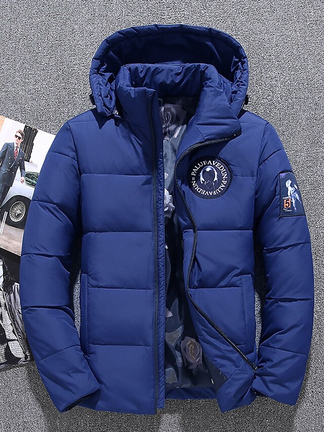 Men's Winter Coat Winter Jacket Down Jacket Cardigan Zipper Pocket