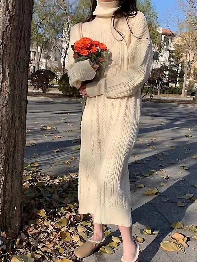  Women's Sweater Dress Jumper Dress Winter Dress Midi Dress Knitwear Fashion Daily Pure Color Outdoor Casual Daily Holiday Turtleneck Long Sleeve Patchwork 2023 Loose Fit Black Brown Beige One Size