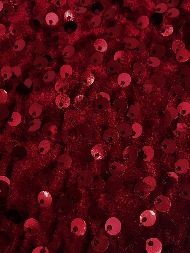 Women's Sequin Dress Velvet Dress Party Dress Sparkly Dress Christmas