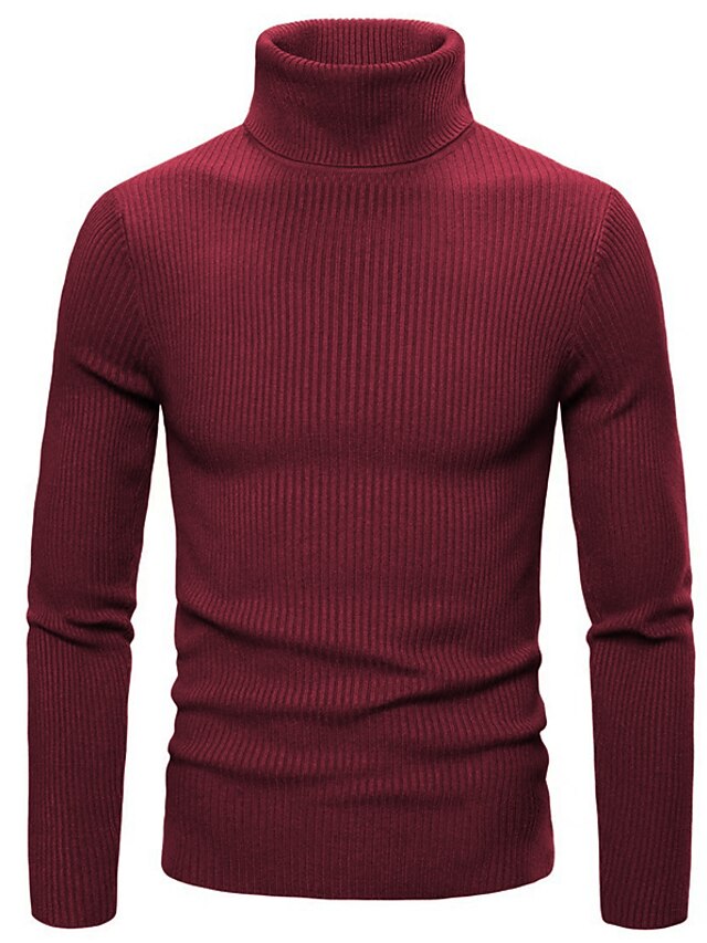 Men's Pullover Sweater Jumper Turtleneck Sweater Cropped Sweater Ribbed ...