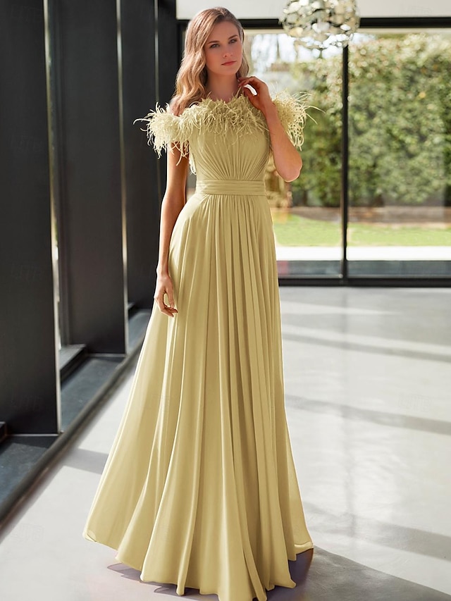  A-Line Evening Gown Elegant Dress Formal Floor Length Sleeveless Off Shoulder Stretch Chiffon with Feather Pleats 2025