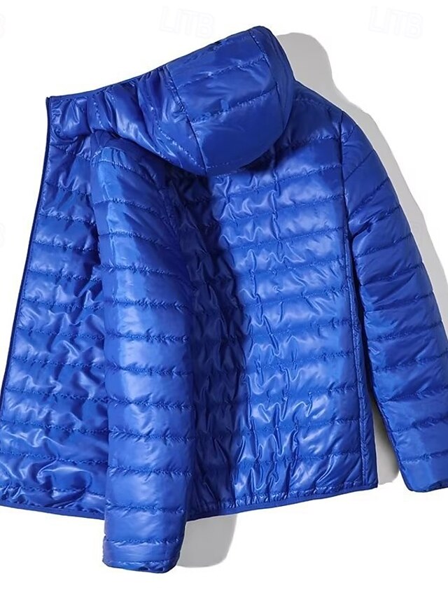 Men's Winter Jacket Puffer Jacket Quilted Jacket Padded Hooded Polyster