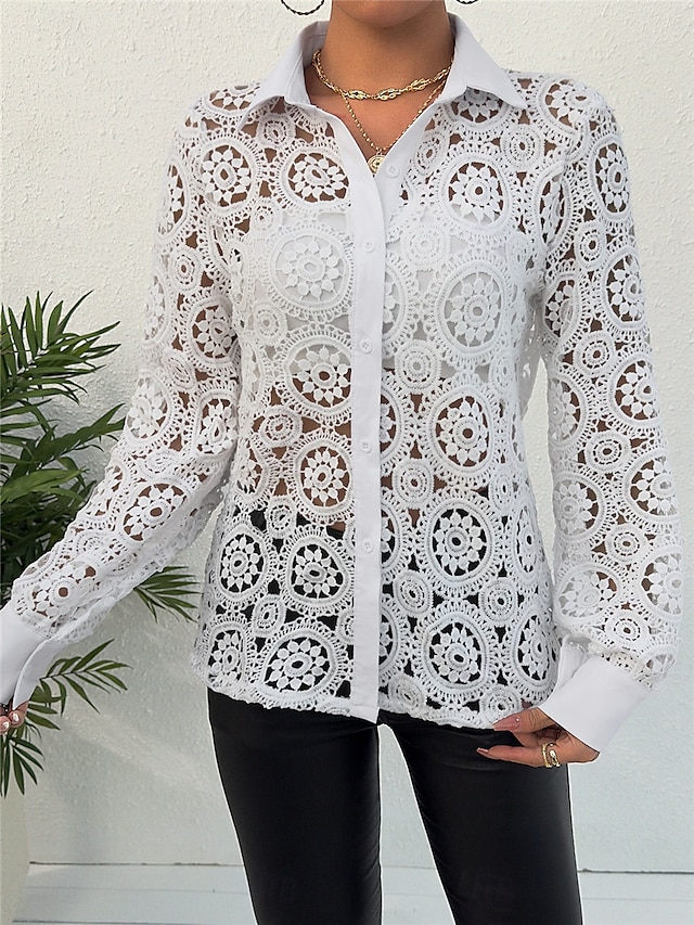 Women's Shirt Blouse Basic Casual Lace Long Sleeve Regular Tops V Neck Daily Going out White Spring & Fall 7