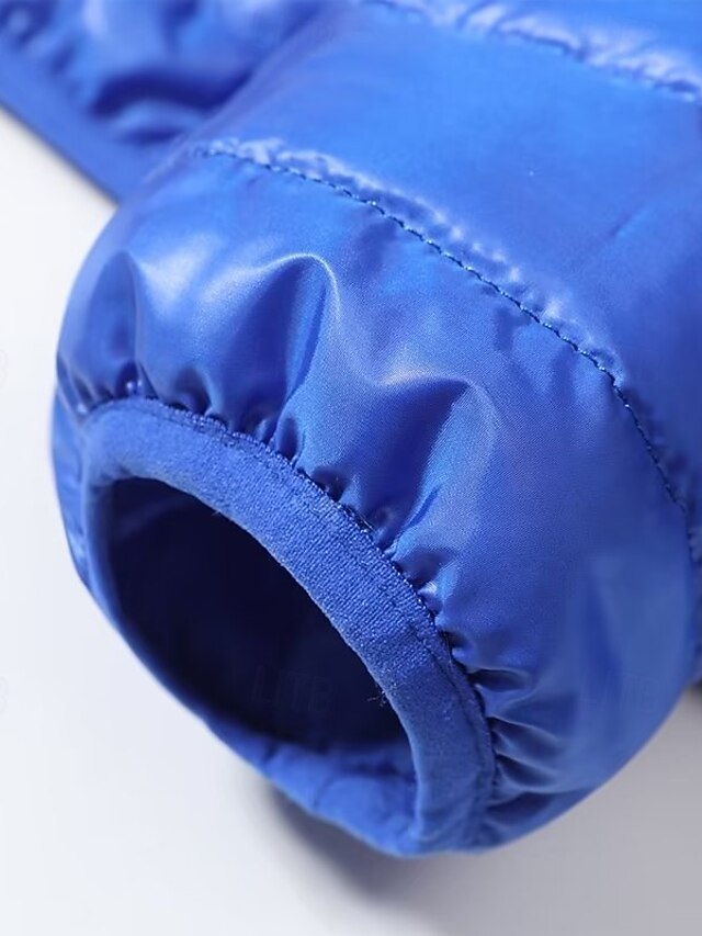 Men's Winter Jacket Puffer Jacket Quilted Jacket Padded Hooded Polyster