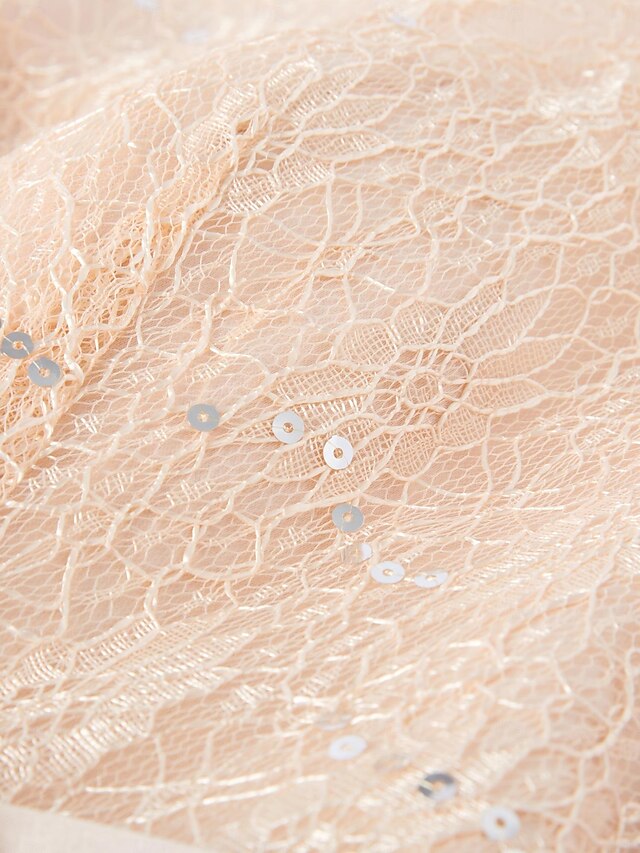 ALine Plus Size Curve Dress Mother of the Bride Dress Wedding Guest