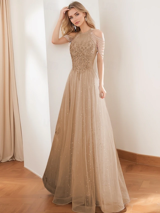 A-Line Prom Dresses Vintage Dress Formal Prom Floor Length Sleeveless High Neck Tulle with Glitter Tassel 6