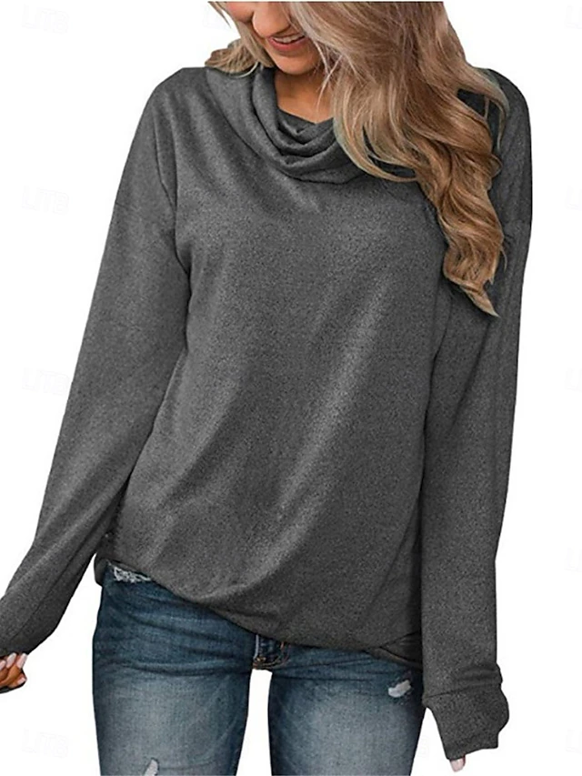 Women's Sweatshirt Casual Plain Street Dailywear Cowl Neck Long Sleeve Pink Gray Fall Winter 5