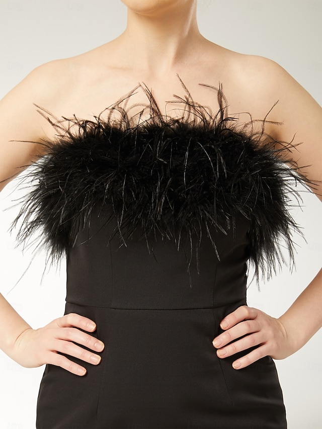 Black Feather Dress