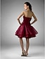 cheap Special Occasion Dresses-Ball Gown Holiday Cocktail Party Prom Dress Strapless Sleeveless Knee Length Organza with Ruched Draping 2020