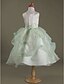 cheap Flower Girl Dresses-Ball Gown Tea Length Wedding Party Organza / Satin Sleeveless Jewel Neck with Pick Up Skirt / Flower