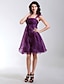 cheap Cocktail Dresses-Ball Gown Cute Dress Holiday Homecoming Knee Length Sleeveless Straps Organza with Ruched Ruffles 2024