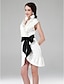 cheap Cocktail Dresses-Sheath / Column All Celebrity Styles Dress Holiday Short / Mini Sleeveless Halter Satin with Sash / Ribbon Ruffles 2023